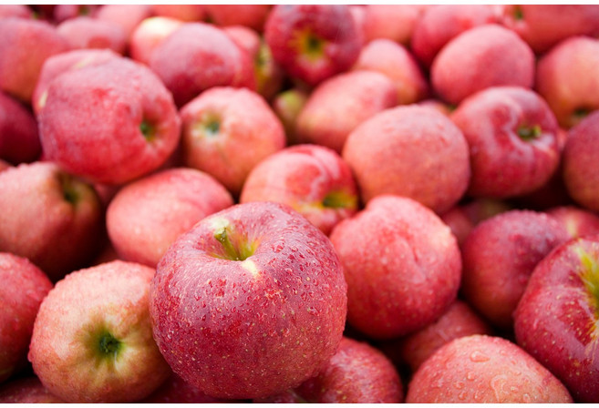 [야달다] 싸게싸게 가정용 꼬마사과 부사!! 랜덤과~ 1kg 3kg 맛보장 부사!! 랜덤과 1kg 3kg, 1개, 싸게싸게 가정용 [랜덤 5과 내외] 1kg