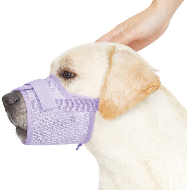 렛츠독 강아지 벨크로 경량 메쉬 입마개 산책용 훈련용 마스크 XL, 메쉬퍼플, 1개