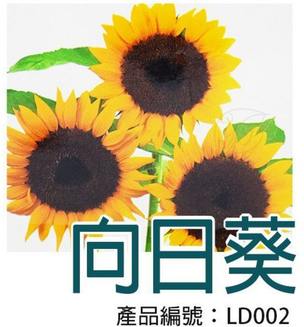 【醬米資材】DIY向日葵種子栽種盆栽組 體驗種植樂趣, 1個, 黃色