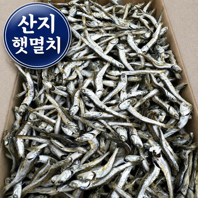 [명화씨푸드] 국산 햇 고주바 고바멸치 고추장 국물멸치 1.5kg, 1개