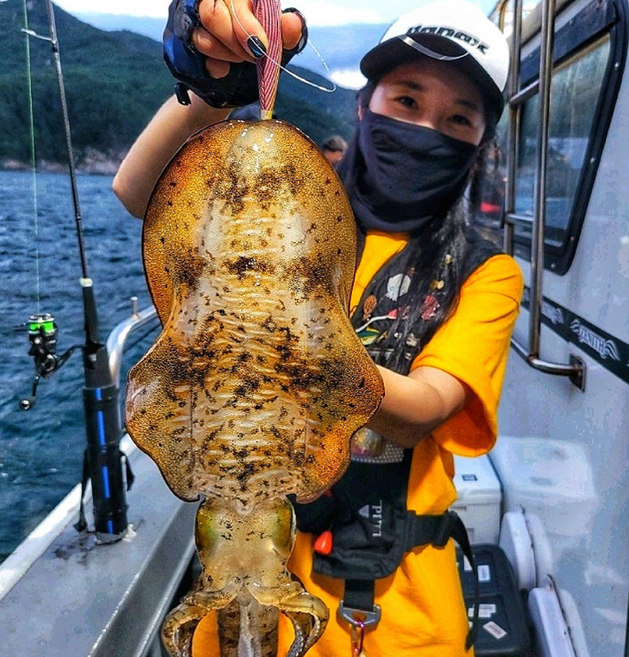바낙스 티벤 팁런 무늬오징어 낚시대 팁런대, S652L