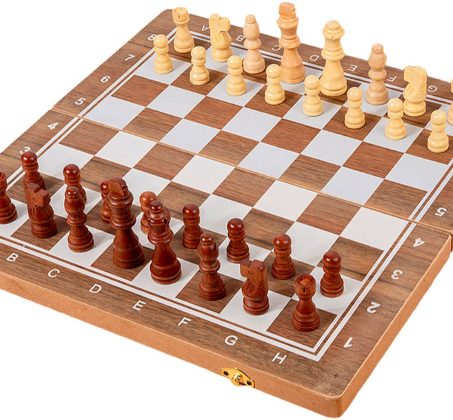 서플라이랩 접이식 고급 체스판 세트, 중형, 1개