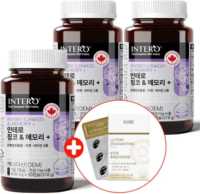 인테로 두뇌 징코 메모리 3개 은행잎추출물 플라보놀배당체 기억력 혈행 뇌 은행추출물 + 사은품 증정, 60정 - 쿠팡