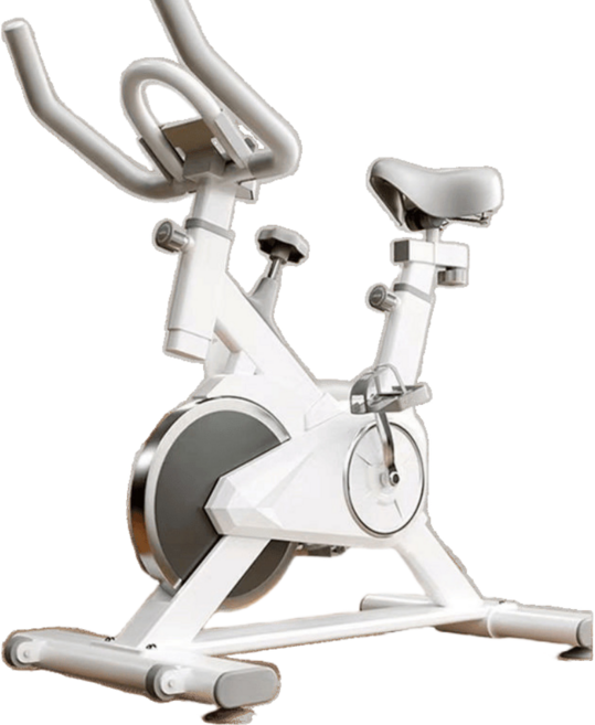 Tavoe실내자전거지방 연소 + 바디라인 강화! 고효율 홈트레이닝 사이클T258-011, 흰색