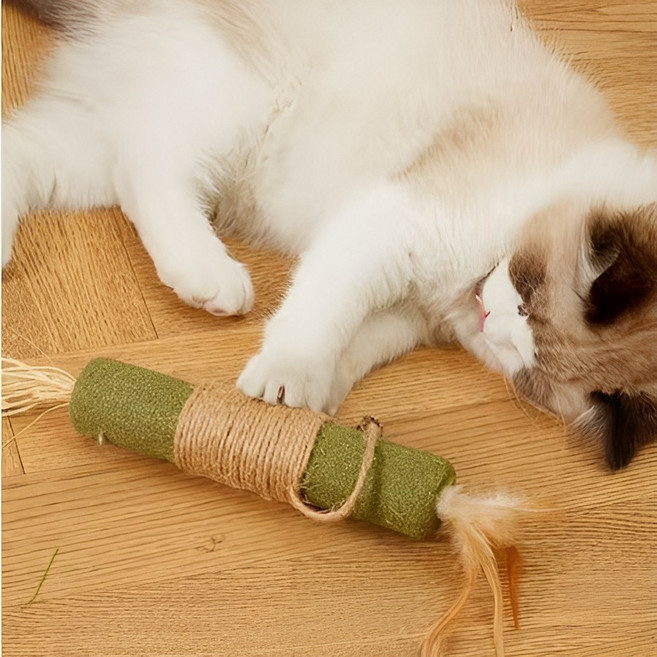 인사이트셀 고양이 이갈이 치발기 빅캣닢, 그린, 2개