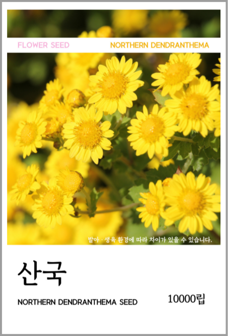 산국 씨앗(코팅 종자) 10000립, 1개