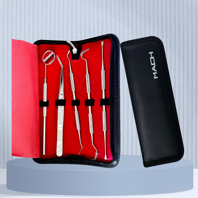 셀프 치석제거기 5종세트 보관케이스 포함 치과용 스케일링 도구 치경 거울, 1세트