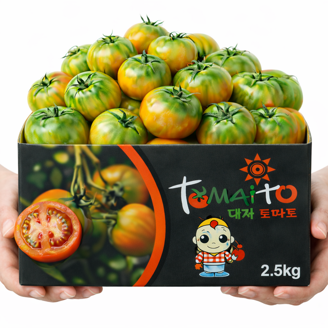 부산 대저토마토 짭짤이 고당도 농협인증 특품, 1개, 2.5kg(S - 2S, 로얄과 - 짭짤이)
