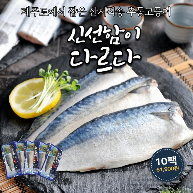 제주도 추동고등어 추석선물세트 산지직송 5팩 10팩 15팩 180g내외, 제주추동고등어 180g내외 15팩