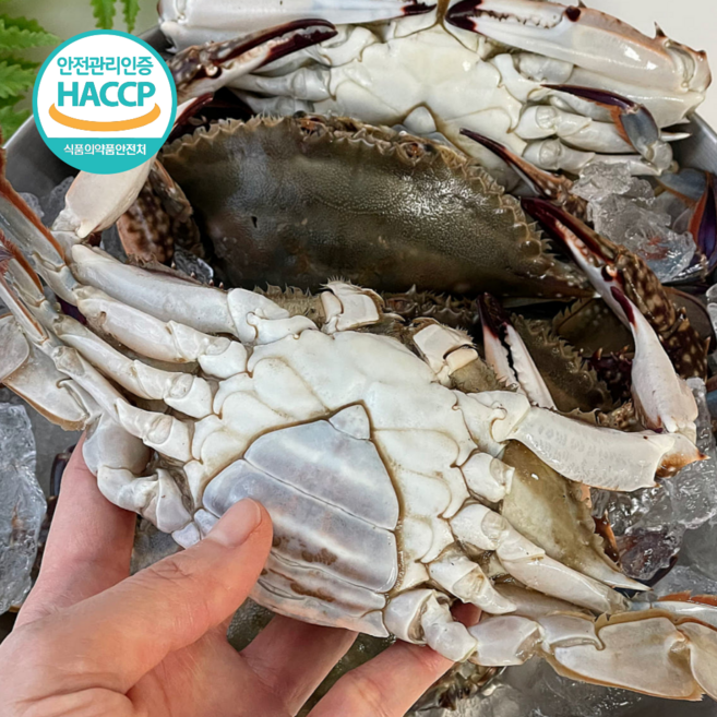 국내산 연평도 암꽃게 냉동 꽃게 급냉 특품, 1박스, 1kg(3-5미) 암꽃게