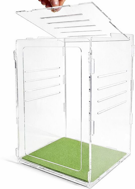 아크릴 사육장 도마뱀 케이지 20x20x30, 1개, 사육장 투명(소)