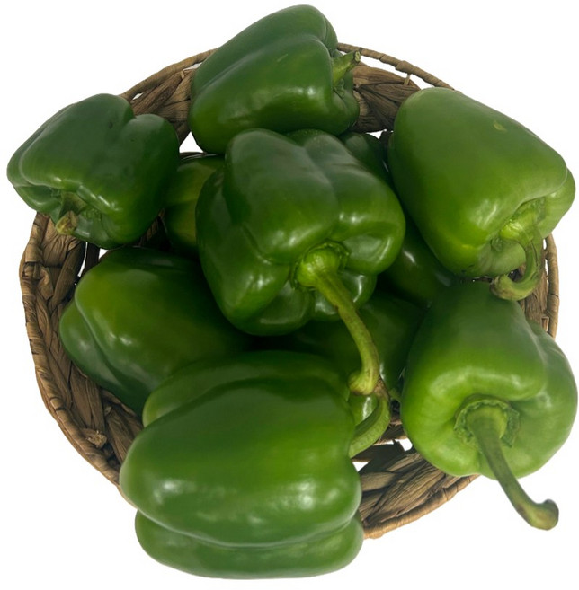 물가안정 일등농수산 국산 못난이 청파프리카, 1개, 5kg (못난이)