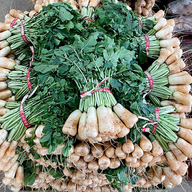 채소다움 황토밭 아삭한 총각무 초롱무 알타리무, 1개, 3단 7.5kg 이상