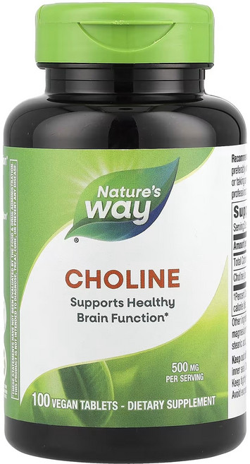 네이쳐스웨이 콜린 500mg 타블렛, 100정, 1개