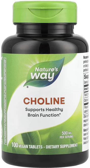 네이쳐스웨이 콜린 500mg 타블렛, 100정, 1개 - 쿠팡