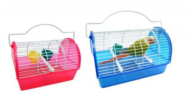 翔帥寵物生活館 小型鳥外出籠 高韌性塑料材質 鸚鵡外出籠, 1個, 外出籠-中