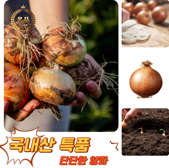 [굿피플] 양파 국내산양파 양파3kg 양파즙 유기농양파 깐양파, 1박스, 양파 5kg 왕특 개당200g이상