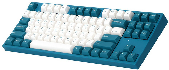 콕스 게이트론 이색사출 기계식 유선 텐키리스 키보드, 혼합색상, CK87 pbt, 청축