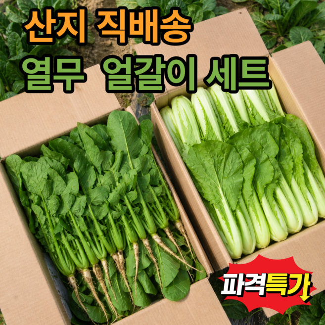 [초특가세일] 산지직송 열무+얼갈이세트 김치/겉절이용, 1개, 열무1kg 얼갈이1kg