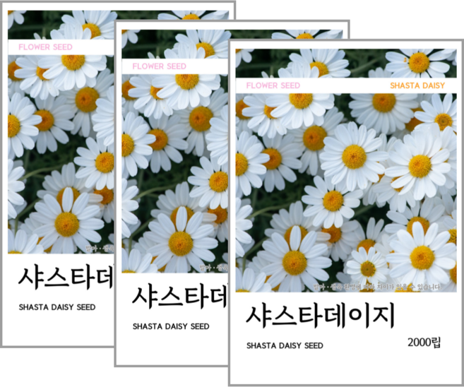 샤스타데이지 씨앗 2000립(코팅 종자 8g), 3개