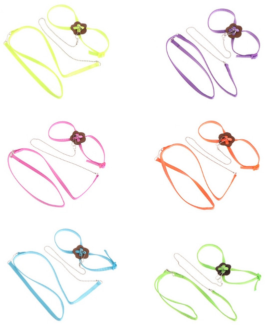 소형 조류 앵무새 물림 방지를 위한 조절 가능한 새 하네스 3.94피트 길이의 긴 목줄 키트 야외 비행 훈련 로프