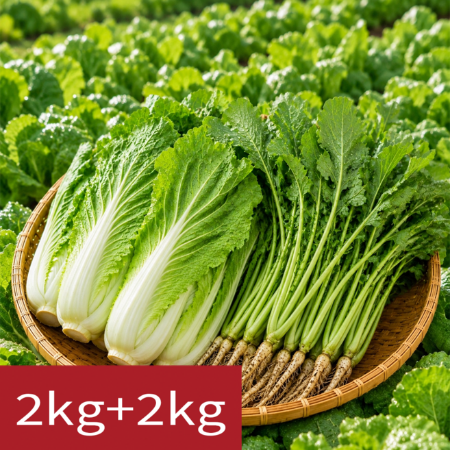 [푸르담] 국내산 산지직송 여름제철 열무+얼갈이 세트, 1개, 2kg+2kg
