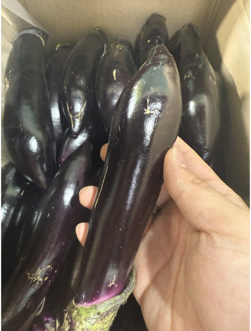 국내산 가지 상등급 5kg 10kg 당일경매, 1박스