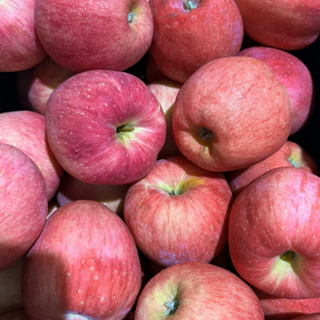 초록이네 국내산 고당도 사과 햇사과 부사사과, 1박스, 5kg(중과)