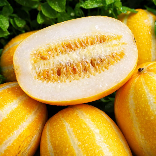 [첫수확초특가] 한입순삭 극강꿀당도 성주참외 가정용, 1박스, 2kg