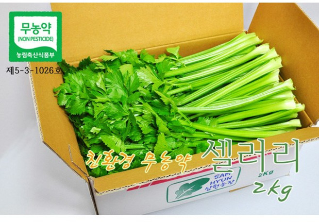 [삼현농장] 친환경 무농약 다용도 셀러리 2kg / 평일 오전 10시주문까지 수확 발송, 1박스