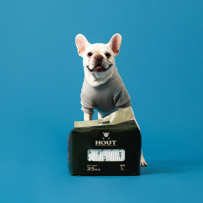하웃 강아지 애견 배변패드 두꺼운 반려견 대형 70g 75매, 25개입, 3개