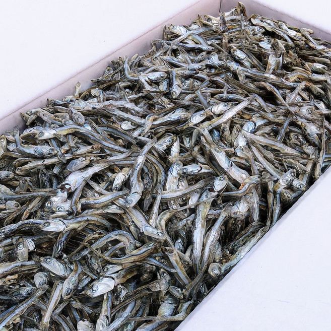 신건호멸치 안주/조림용 햇 고바멸치(실속형) / 소멸치 볶음멸치, 1개, 1.5kg