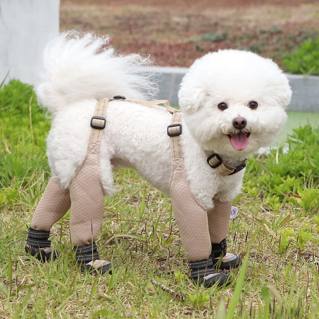 유앤펫 강아지 신발 벗겨지지 않는 논오프 일체형 메쉬 신발(봄&여름용) 중형견 대형견용, 1개, 베이지