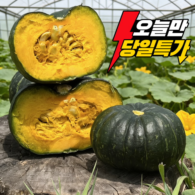 [재구매폭발] 제주직송 보우짱 미니 밤호박, 1박스, 10kg(정품 로얄과)