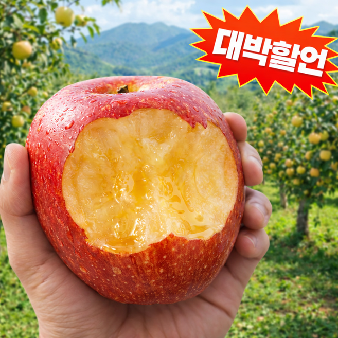 [선착순초초특가] 재구매율1위 산지직송 꿀birx 부사사과, 1박스, 3kg(대과)