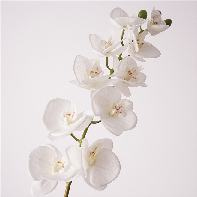 宴會家居必備 洛桑蝴蝶蘭仿真花 酒店婚禮餐桌插花材 高還原度 輕鬆營造優雅氛圍, 1個, 手感10頭洛桑蝴蝶蘭-白色