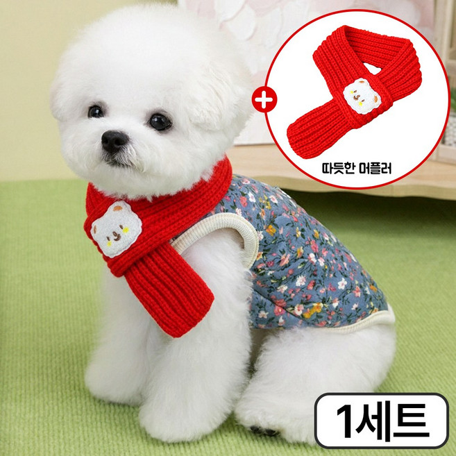 다나몰 강아지 옷 올인원 목도리 세트, 1세트, 블루