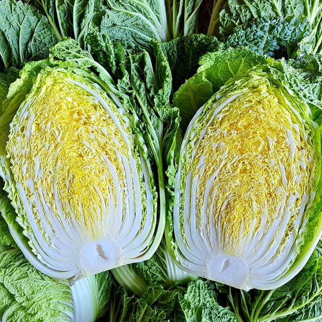 국내산 김장 배추 3포기, 8kg, 1박스, (배추 3포기)