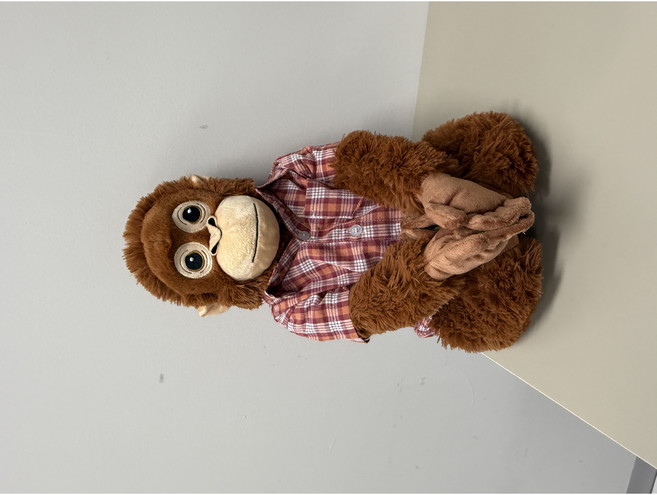 오랑우탄 옷 셔츠 입히기 원숭이 고숭이 오숭이 고릴라 애착 인형 셔츠 3종 색상, 1개, 레드체크셔츠