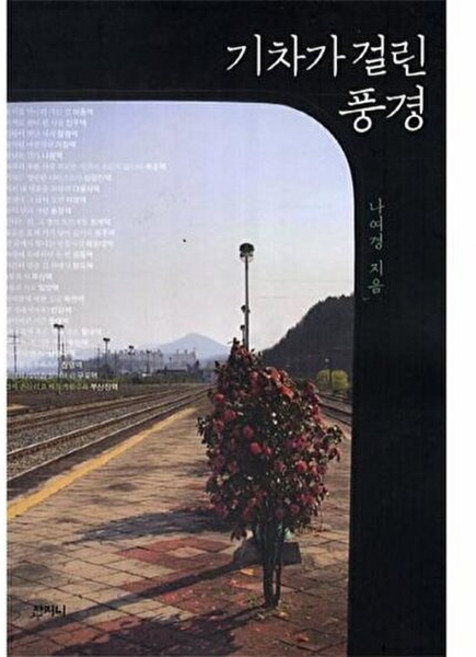 기차가 걸린 풍경, 산지니, 나여경 저