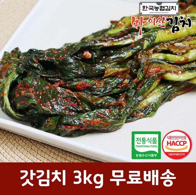 한국농협김치 국산 재료 진안 마이산 갓김치 3kg, 1개