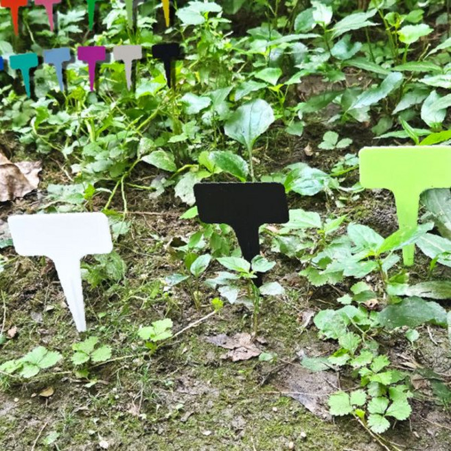 정원 가꾸기 식물 표지판 야외 텃밭 채소 허브 화초 관리 표시 꽂이 라벨 꼬리표, 보라