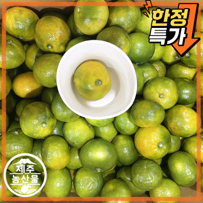 [제주올팜] 고당도 제주 감귤 귤 밀감 로얄과, 1개, 10kg 소과 (2S이하)