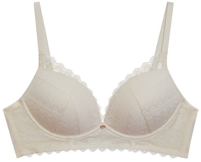 [Wonderbra] 로맨틱 레이스 노와이어 브라 1종 택1