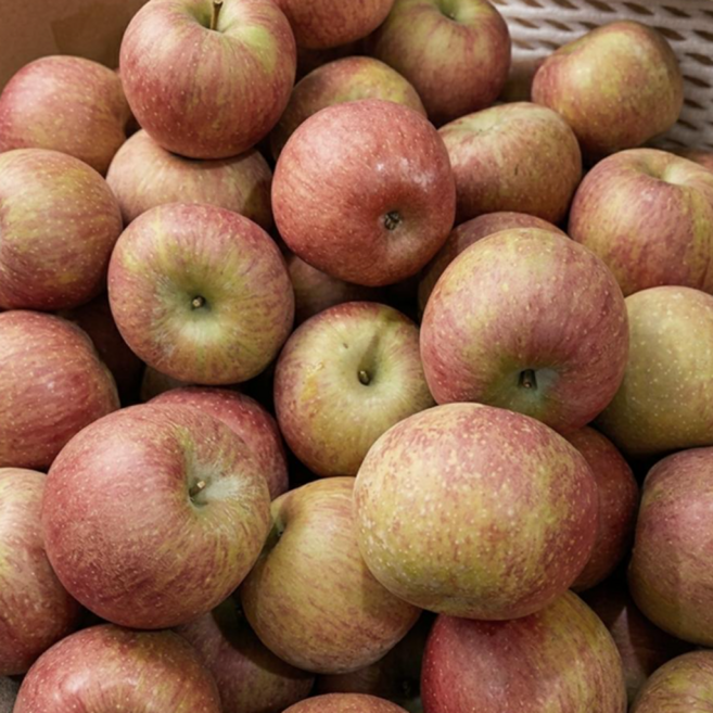 [행사특가] 가정용 실속 못난이 당도좋은 꿀 국내산 안동 사과, 1박스, 2kg(중소과)