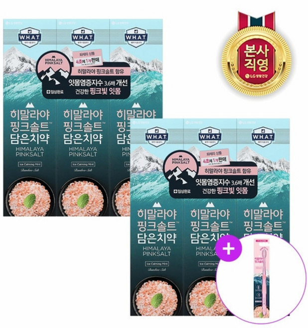 히말라야핑크솔트 아이스민트 치약 + 칫솔 1입, 6개, 100g