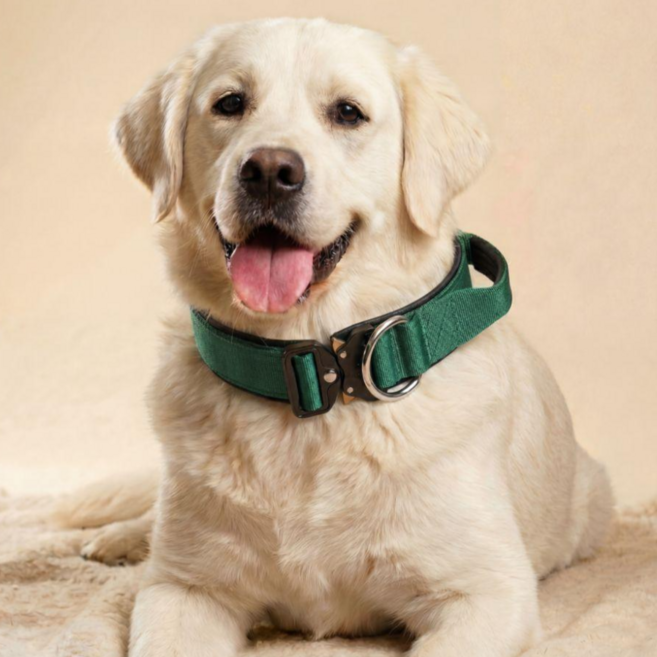 오브리버티 핸들링 중형견 대형견 목줄, 그린, 1개