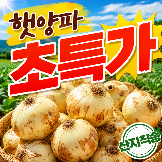 [오늘만초특가] 당일수확 아삭단단한 재구매율1위 햇양파, 1박스, 2kg(중)