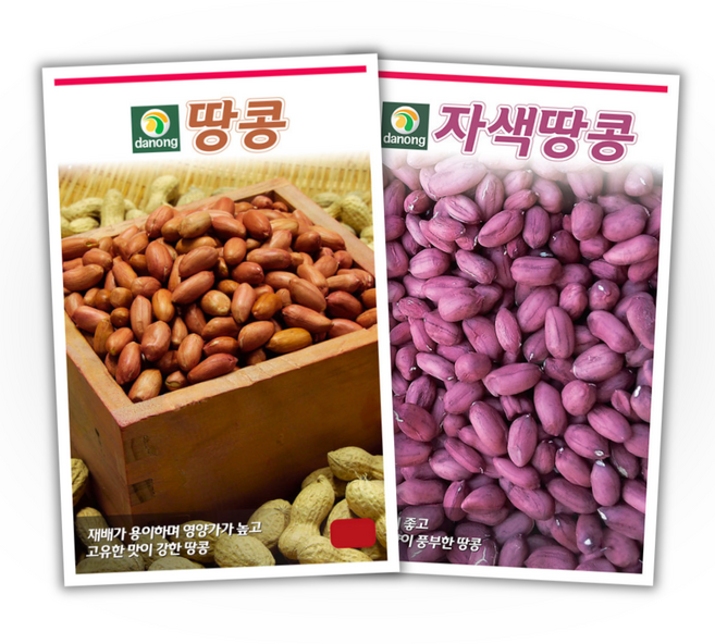 주주씨앗 땅콩 씨앗 2종세트 땅콩씨 종자 자색땅콩 씨앗 몰 채소씨앗 봄 파종 작물 콩씨앗, 1개
