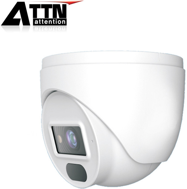 야간칼라 400만 POE CCTV IP 카메라 DUAL LIGHT LFD 2.8MM